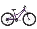 Kellys Kiter 50 Purple 24