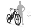 Kellys Theos F100 29/27,5