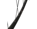 Kellys Valor 21 29