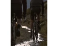 Continental Terra Trail ShieldWall 45-622mm gravel-cyclocross köpeny Tubeless Ready hajtogatós fekete/fekete