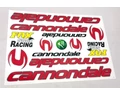 Cannondale matrica garnitúra műgyantás bevonattal 35x16cm 2 színben kapható
