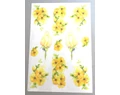 Virág mintás matricagarnitúra 25*17 cm   2 féle színben