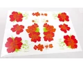 Hawai virágmintás matrica garnitúra műgyantás 25x17cm 4 féle színben kapható