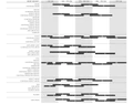 Scott Scale 980 29