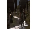 Continental Contact Urban városi MTB köpeny 26x1,75