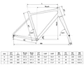 geometria