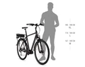 KTM Macina Central P510 Ebike Bosch Perf. 3.Gen meghajtás női monováz, 5 fokozatú agyváltó, szürke, 43cm