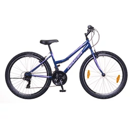 Neuzer Nelson 30 női MTB kerékpár 21sebességes, duplafalú kerekek, kék/lila 19"