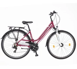 Neuzer Ravenna 100 női alumínium vázas trekking kerékpár agydinamós, teleszkópos padlizsán fehér matt 17"