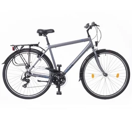 Neuzer Ravenna 50 férfi alumínium vázas trekking kerékpár merevvillás mattszürke 21&quot;