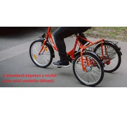 Csepel Camping felnőtt tricikli Nexus3 agyváltóval, fehér 20"