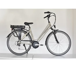 Neuzer Hollandia Optima Deluxe ebike 28"-as, alu, 36V/250W középmotor, 13Ah Li-ion akku, v.barna 19"