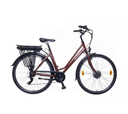 Neuzer Hollandia Basic elektromos kerékpár agymotoros, barna 19&quot;