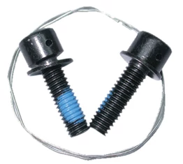 Fékalkatrész A2Z csavar féknyereg rögzítéshez, nagy szilárdságú, imbusznyílással, párban