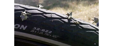 A testépítők kedvence a bringások réme. Mi az? A királydinnye.