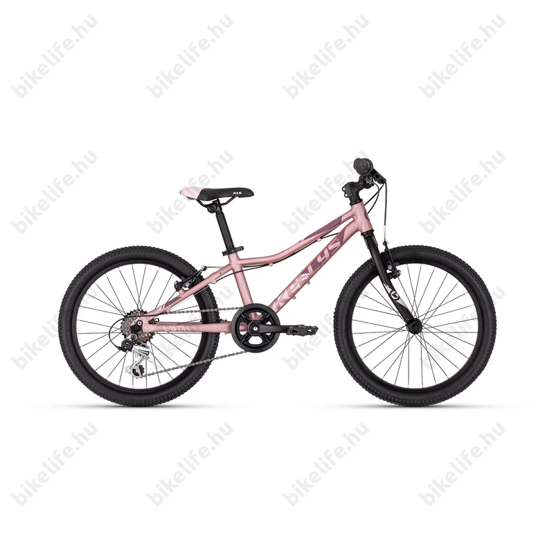 Kellys Lumi 30 rose gold 20