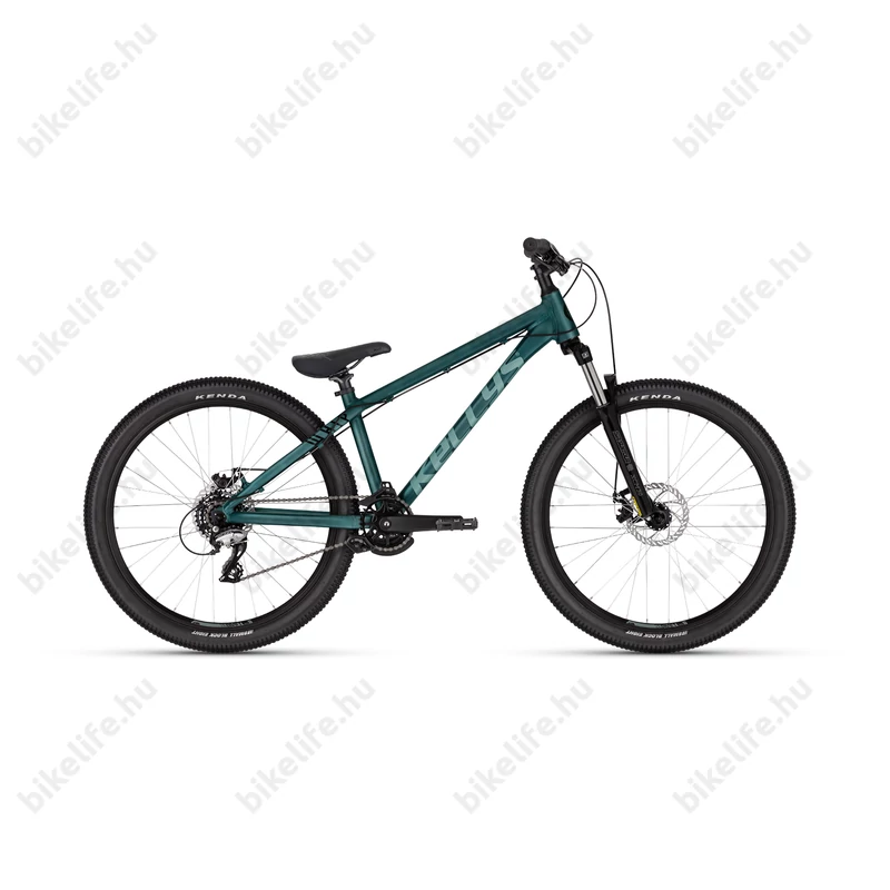 Kellys Whip 10 Mineral Green extrém 26