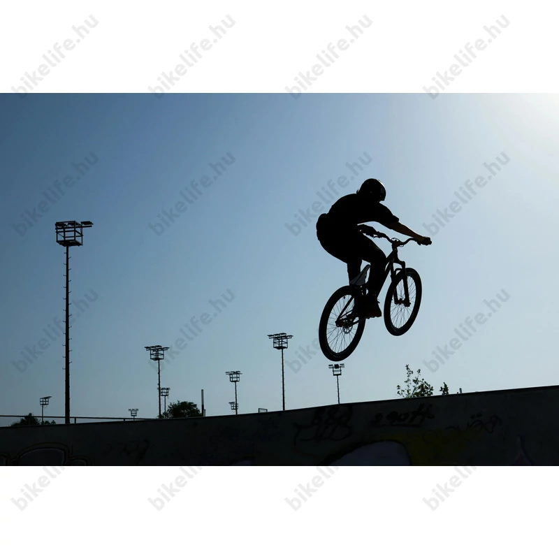 Kellys Whip 10 Silver extrém 26