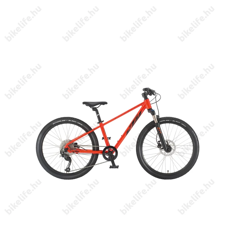 KTM Wild Speed 24