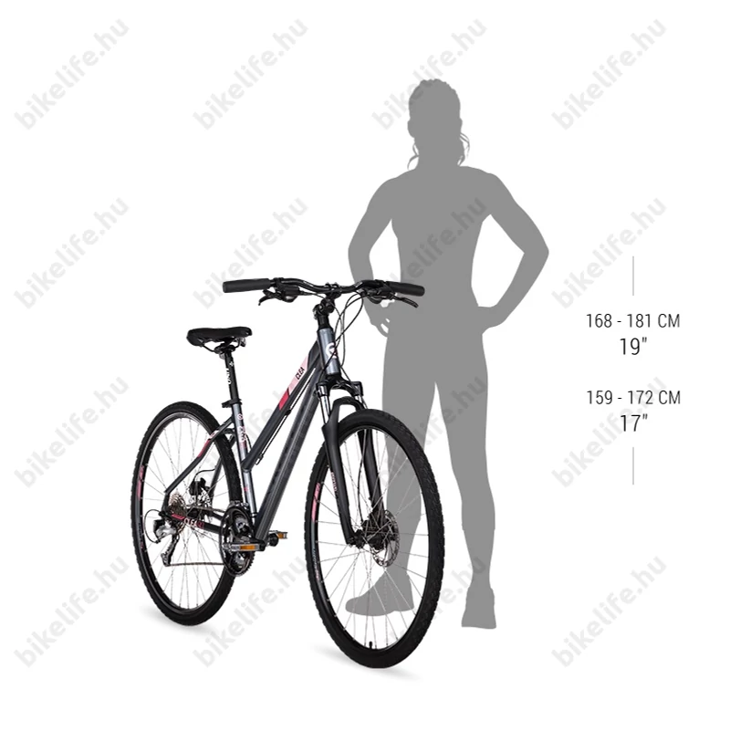 Kellys Clea 30 női cross kerékpár 24 fokozatú EF51/TX800 váltó, White 17