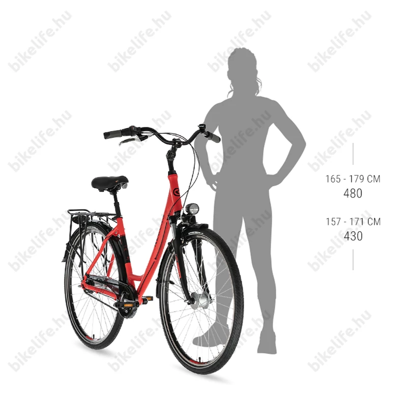 Kellys Avery 20 Turquise 28