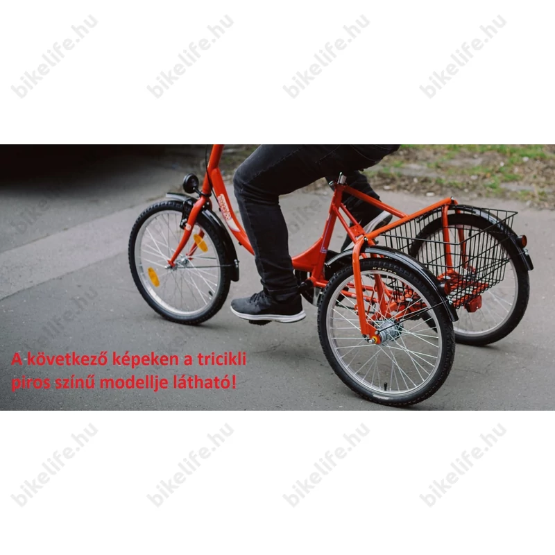 Csepel Camping felnőtt tricikli Nexus3 agyváltóval, fehér 20