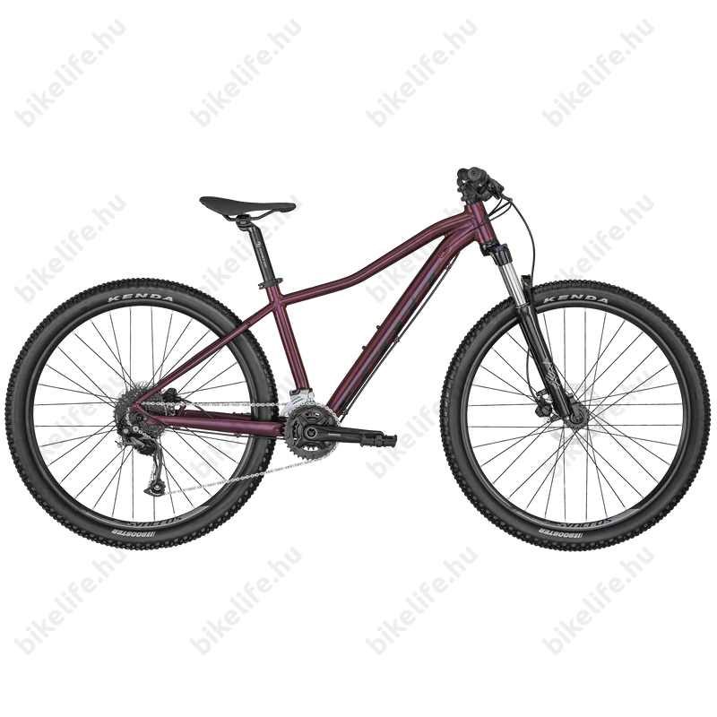 Scott Contessa Active 40 29