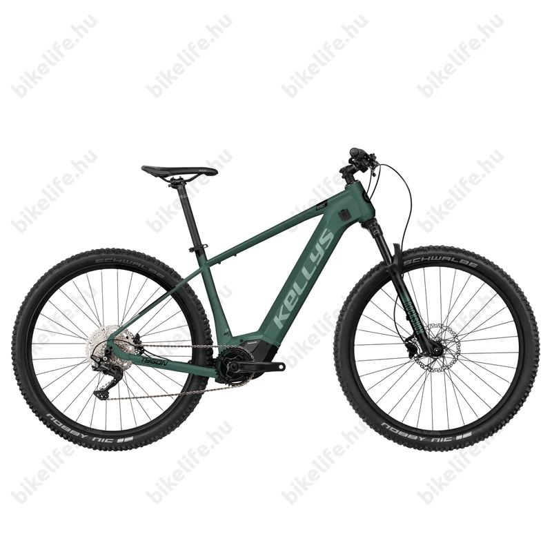 Kellys Tygon R50 Forest férfi 29