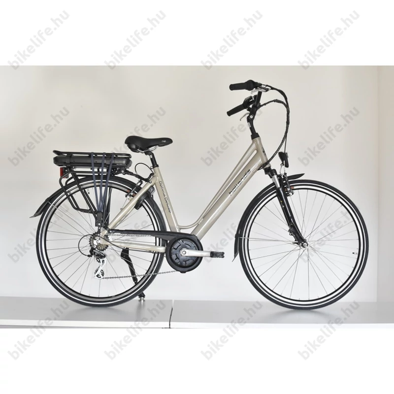 Neuzer Hollandia Optima Deluxe ebike 28