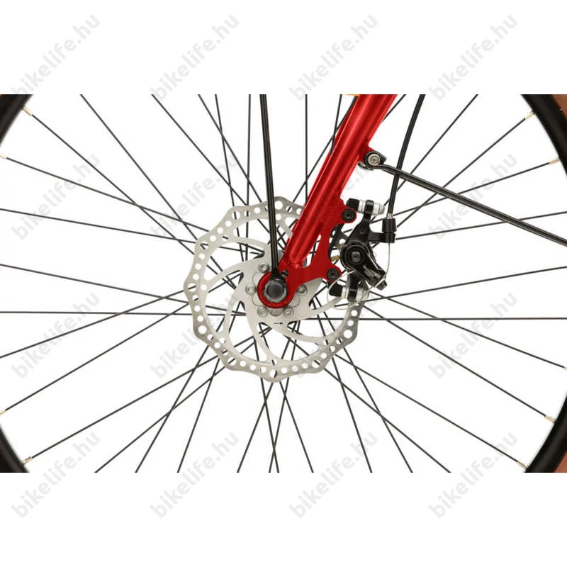 Neuzer ECONELO E-City pedelec női 6 sebességes, 26