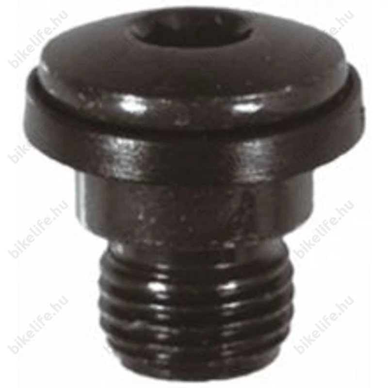 Shimano váltótartó csavar imbuszos M10-es menettel Y5PJ98020