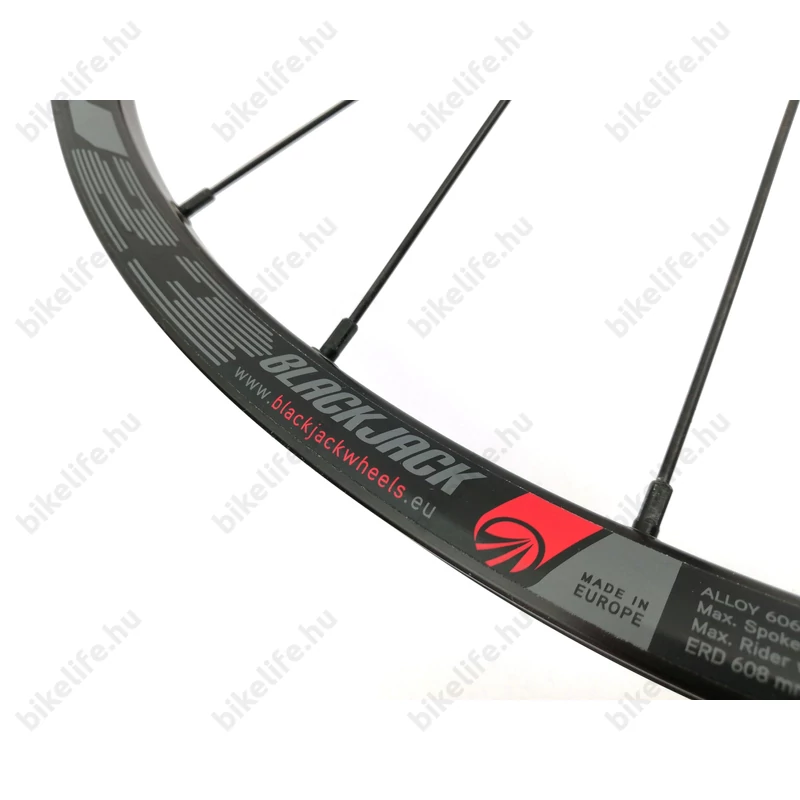 Rodi Black Jack Ready 23 29-es kerékszett, első+hátsó, ipari csapágyas, adapterezhető, TubeLess Ready, fekete