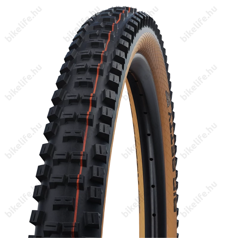 Schwalbe Big Betty Evo 29x2,4