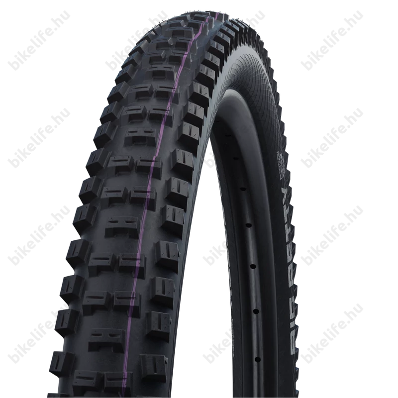 Schwalbe Big Betty Evo 29x2,4