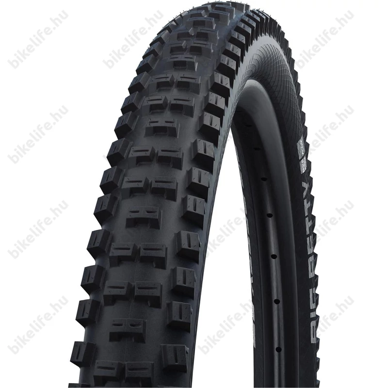 Schwalbe Big Betty Performance 29x2,4