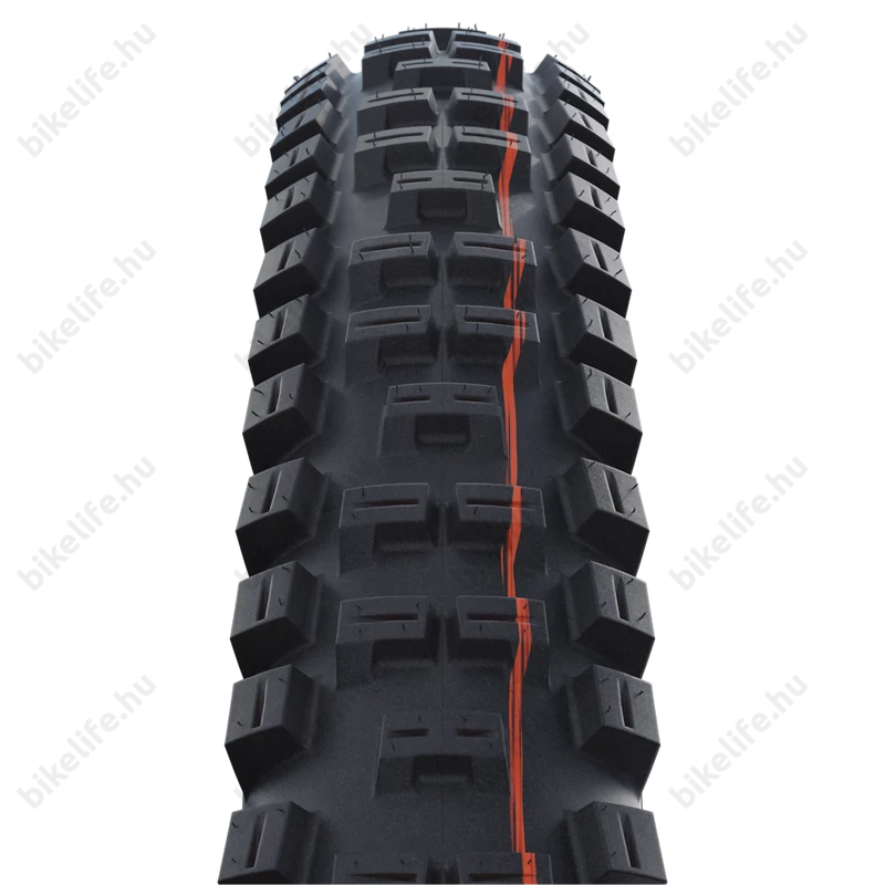Schwalbe Big Betty Evo 29x2,6