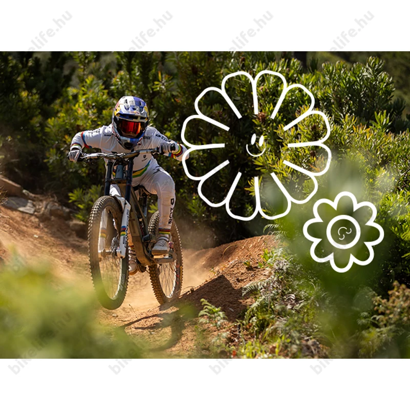 Ergon SM Downhill Comp Vali Höll Edition sport nyereg DH/Dirt/Gravity felhasználásra, Cr-Mo pálca, fehér