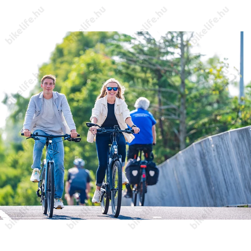 BBB CityView visszapillantó tükör BBM-05 fém szárral kihajtható balos