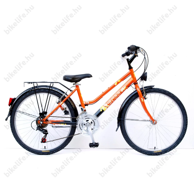 Schwinn ATB BOSS 24