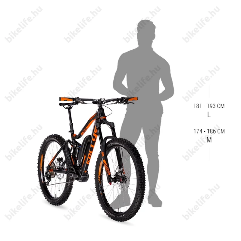 Kellys Tygon R50 Forest férfi 29