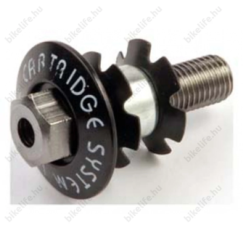 Trinity A-Head dió, kupak vagy rózsa 1-1/8