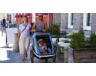 Hamax Avenida Twin gyermek szállító utánfutó, 2gyermeknek, 45kg terhelhetőség, időjárás álló boritás, szürke/lime